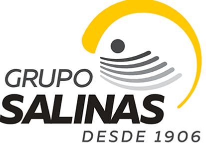 Grupo Salinas
